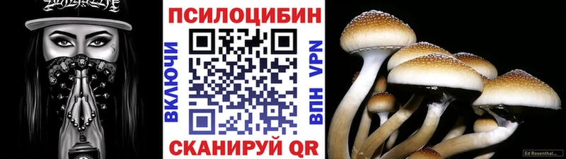 Псилоцибиновые грибы Magic Shrooms  Ильский 